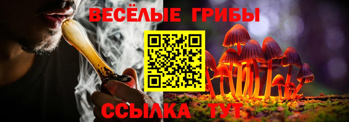 Псилоцибиновые грибы MAGIC MUSHROOMS Великий Устюг